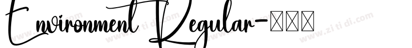 Environment Regular字体转换